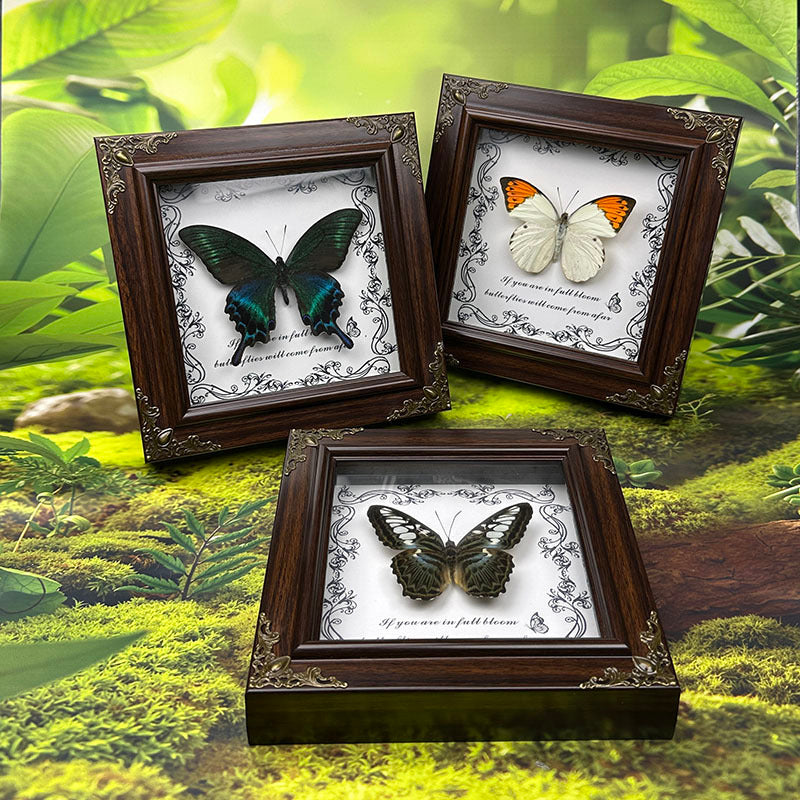 Handcrafted European-Style Butterfly Photo Frame - Durable PC Material, Perfect for Desktop or Wall Decor, Ideal for Home, Office, Farmhouse, and Holiday Decorations, Multiple Butterfly Designs Available - Realistic Butterfly Model
