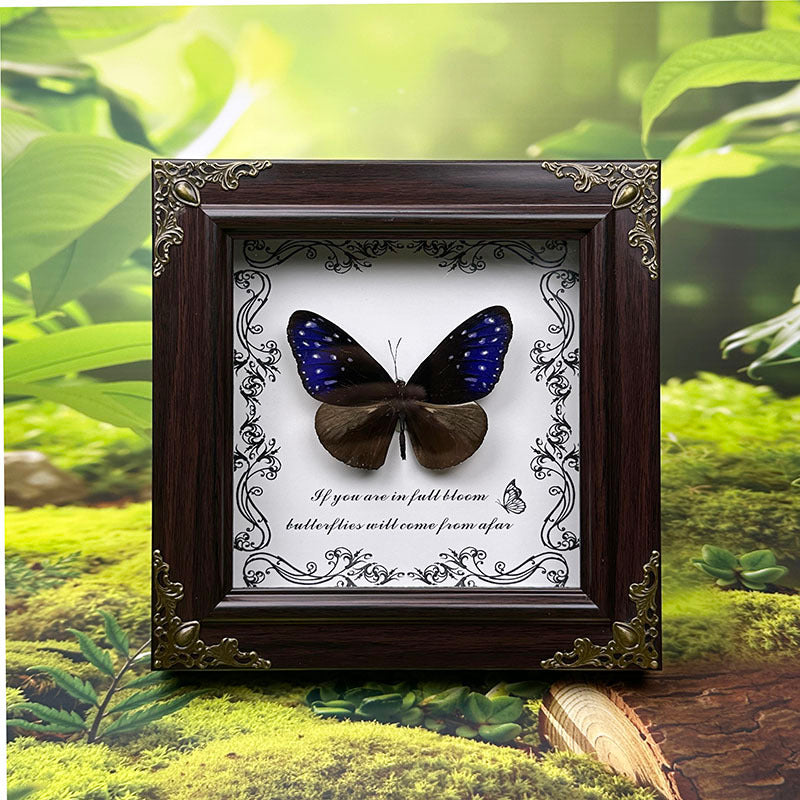Handcrafted European-Style Butterfly Photo Frame - Durable PC Material, Perfect for Desktop or Wall Decor, Ideal for Home, Office, Farmhouse, and Holiday Decorations, Multiple Butterfly Designs Available - Realistic Butterfly Model