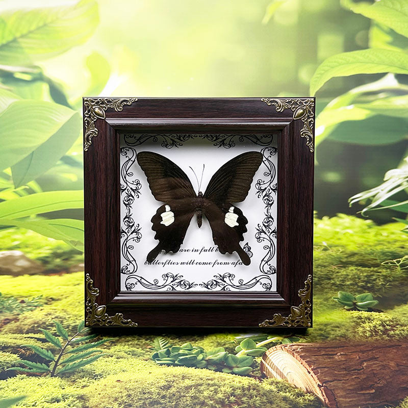 Handcrafted European-Style Butterfly Photo Frame - Durable PC Material, Perfect for Desktop or Wall Decor, Ideal for Home, Office, Farmhouse, and Holiday Decorations, Multiple Butterfly Designs Available - Realistic Butterfly Model