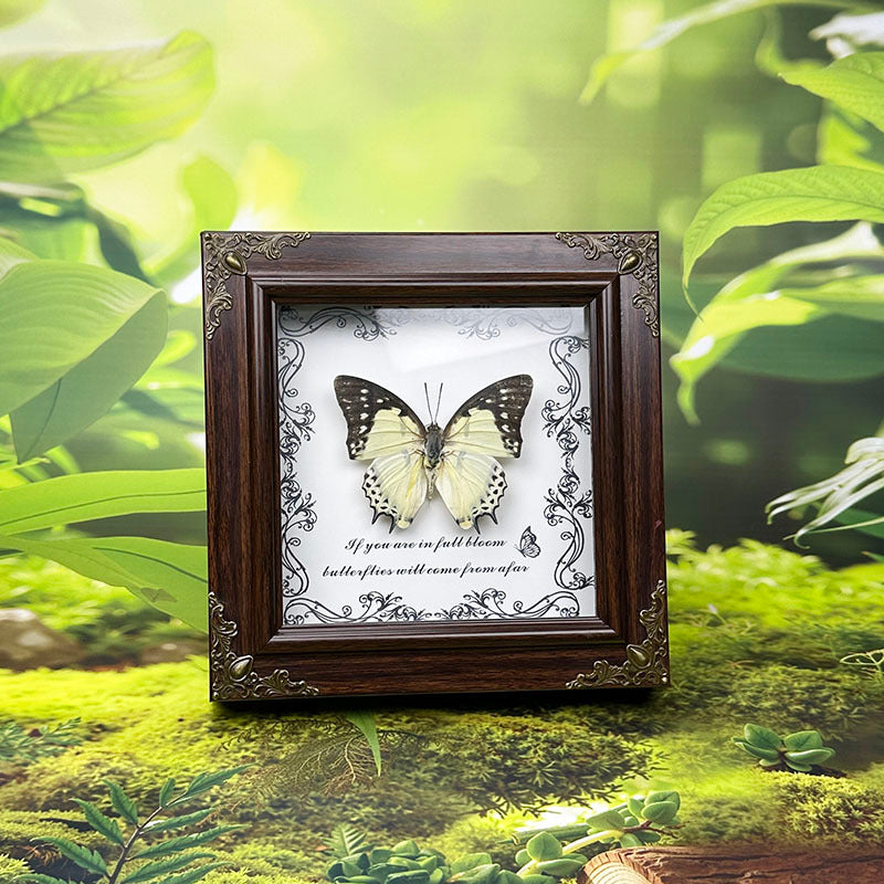 Handcrafted European-Style Butterfly Photo Frame - Durable PC Material, Perfect for Desktop or Wall Decor, Ideal for Home, Office, Farmhouse, and Holiday Decorations, Multiple Butterfly Designs Available - Realistic Butterfly Model