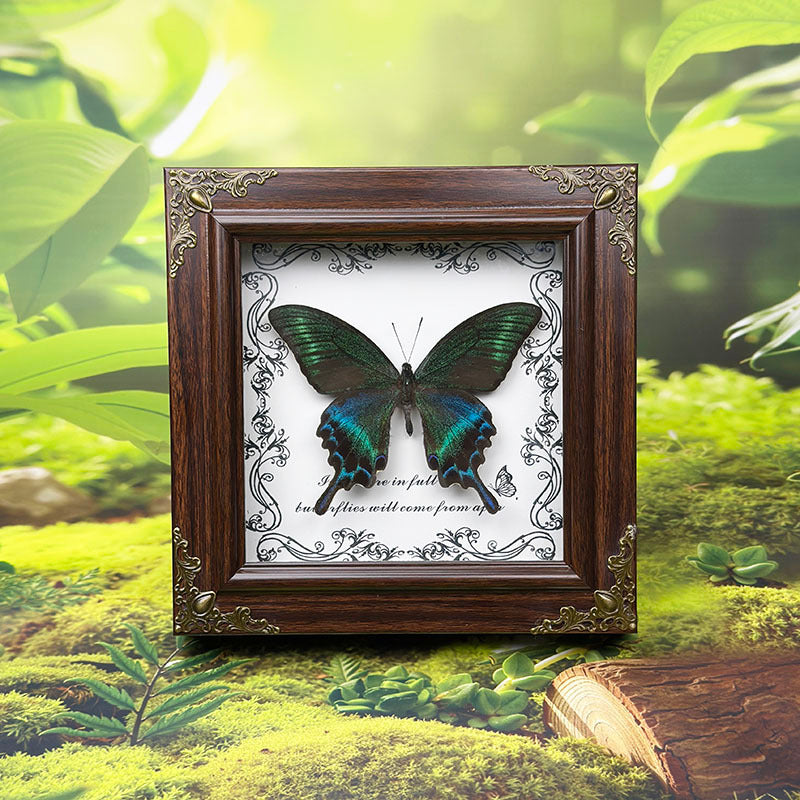 Handcrafted European-Style Butterfly Photo Frame - Durable PC Material, Perfect for Desktop or Wall Decor, Ideal for Home, Office, Farmhouse, and Holiday Decorations, Multiple Butterfly Designs Available - Realistic Butterfly Model