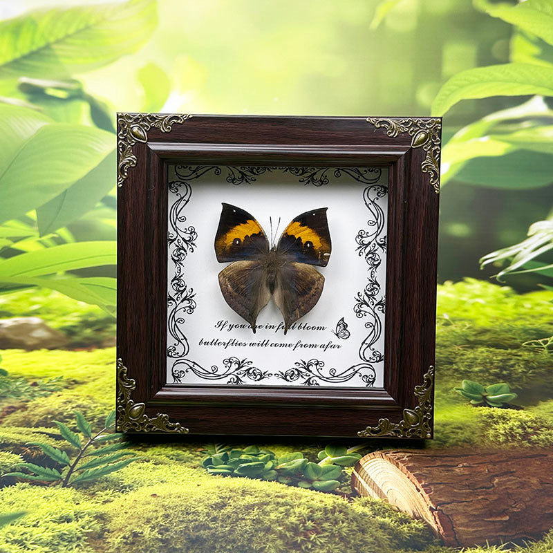 Handcrafted European-Style Butterfly Photo Frame - Durable PC Material, Perfect for Desktop or Wall Decor, Ideal for Home, Office, Farmhouse, and Holiday Decorations, Multiple Butterfly Designs Available - Realistic Butterfly Model