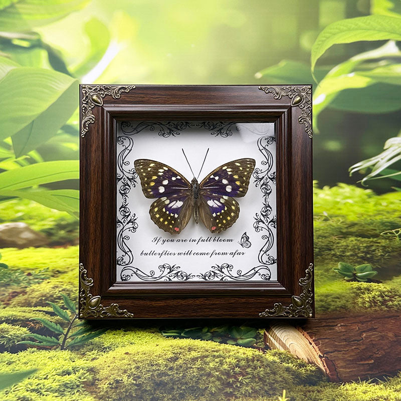 Handcrafted European-Style Butterfly Photo Frame - Durable PC Material, Perfect for Desktop or Wall Decor, Ideal for Home, Office, Farmhouse, and Holiday Decorations, Multiple Butterfly Designs Available - Realistic Butterfly Model