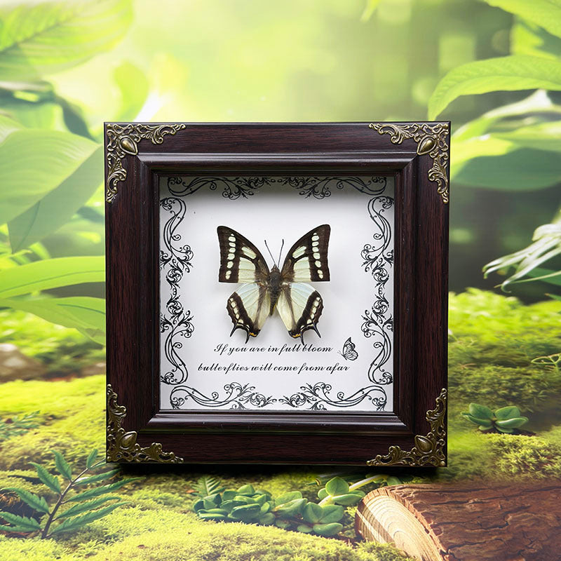 Handcrafted European-Style Butterfly Photo Frame - Durable PC Material, Perfect for Desktop or Wall Decor, Ideal for Home, Office, Farmhouse, and Holiday Decorations, Multiple Butterfly Designs Available - Realistic Butterfly Model