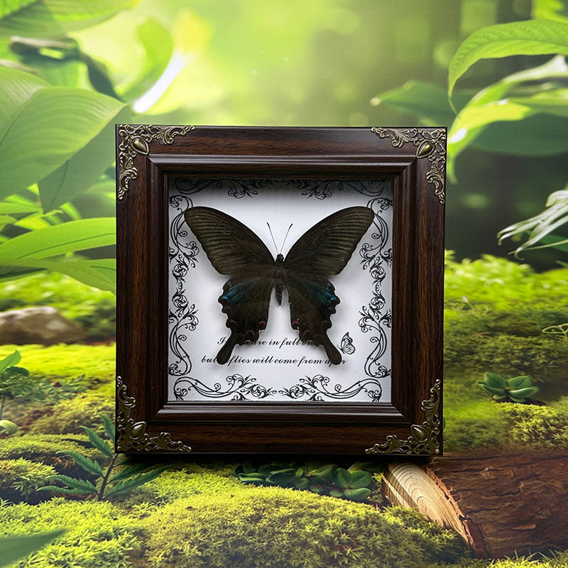 Handcrafted European-Style Butterfly Photo Frame - Durable PC Material, Perfect for Desktop or Wall Decor, Ideal for Home, Office, Farmhouse, and Holiday Decorations, Multiple Butterfly Designs Available - Realistic Butterfly Model