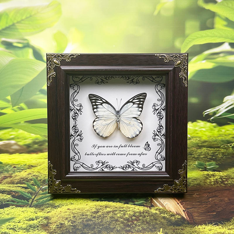 Handcrafted European-Style Butterfly Photo Frame - Durable PC Material, Perfect for Desktop or Wall Decor, Ideal for Home, Office, Farmhouse, and Holiday Decorations, Multiple Butterfly Designs Available - Realistic Butterfly Model