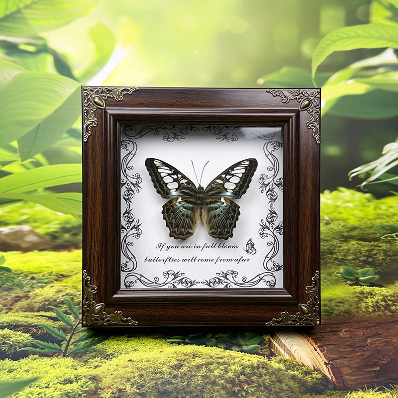 Handcrafted European-Style Butterfly Photo Frame - Durable PC Material, Perfect for Desktop or Wall Decor, Ideal for Home, Office, Farmhouse, and Holiday Decorations, Multiple Butterfly Designs Available - Realistic Butterfly Model
