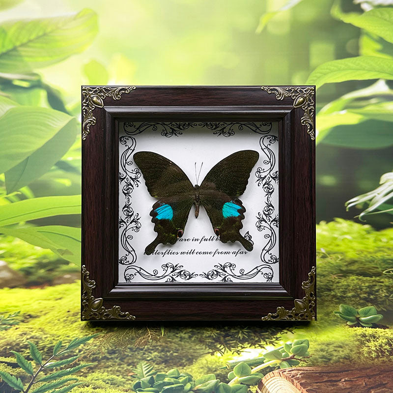 Handcrafted European-Style Butterfly Photo Frame - Durable PC Material, Perfect for Desktop or Wall Decor, Ideal for Home, Office, Farmhouse, and Holiday Decorations, Multiple Butterfly Designs Available - Realistic Butterfly Model